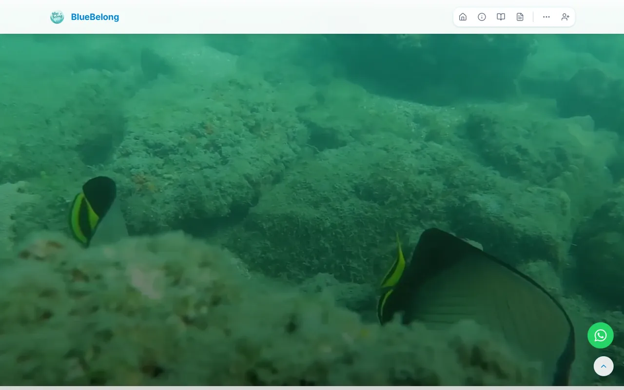 BlueBelong screenshot